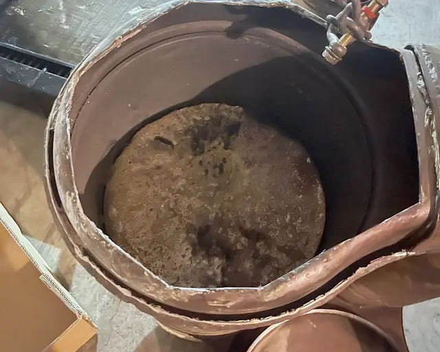 Filtro de partículas abierto por corte en el taller, con la cerámica cubierta de hollín a la vista para inspeccionarla.