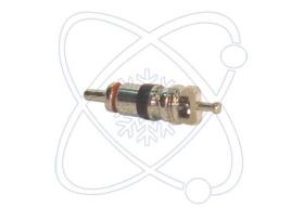 ElectroAuto 19Z0093 - OBUS CARGA REFRIGERANTE