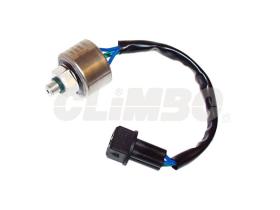 ElectroAuto 90P0037 - PRESOSTATO SEAT/VW 5/16 MACHO
